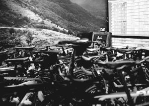 First one in, last one out